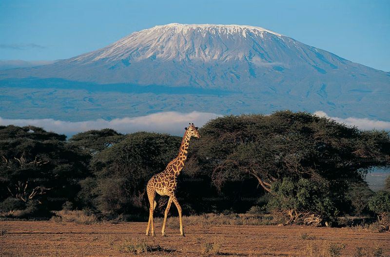 Kilimanjaro Snow Peak