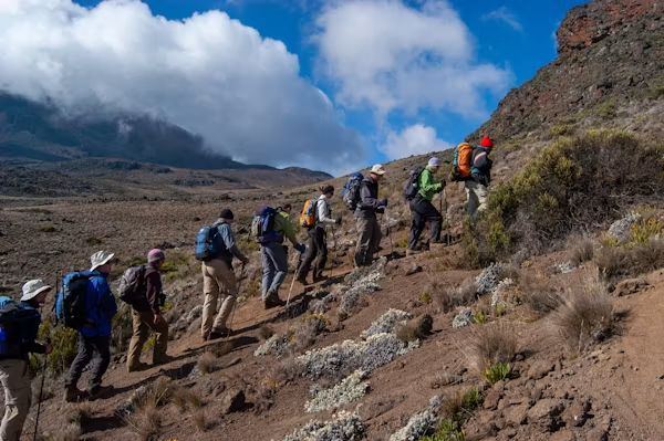 Climbers on Kilimanjaro trail