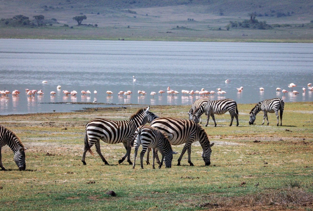 Manyara